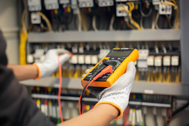 Best Electrical Panel Upgrades  in Mayo, SC